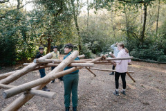 jambo-selection-website-16