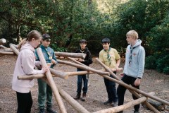 jambo-selection-website-17