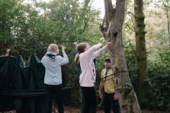 jambo-selection-website-24