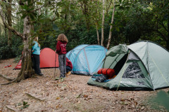 jambo-selection-website-4