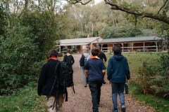 jambo-selection-website-9